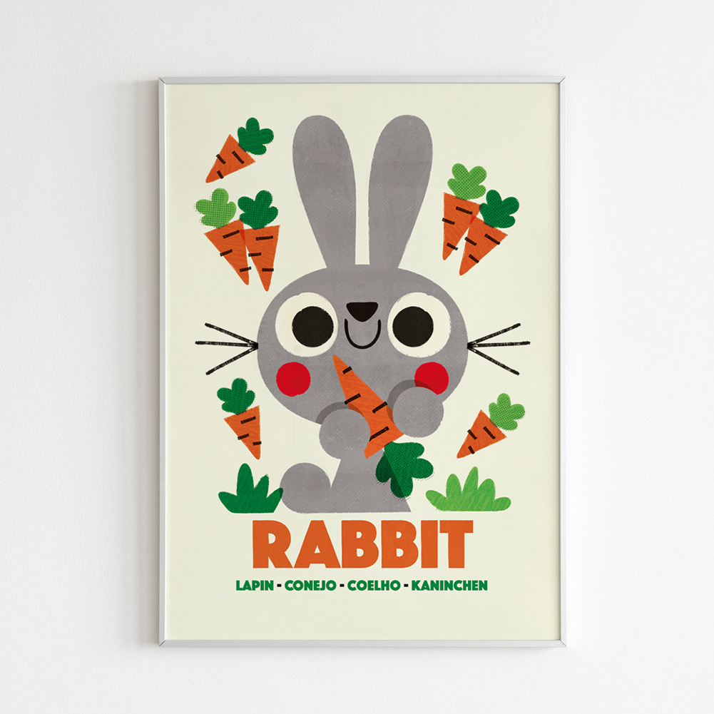 Rabbit