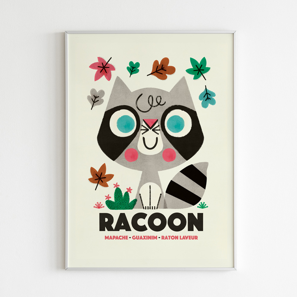 Racoon