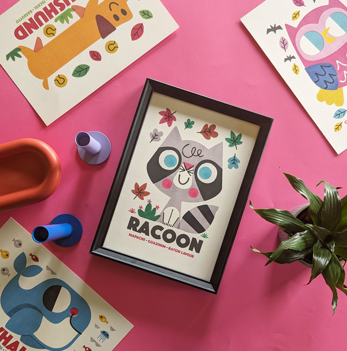 Racoon - Image 2